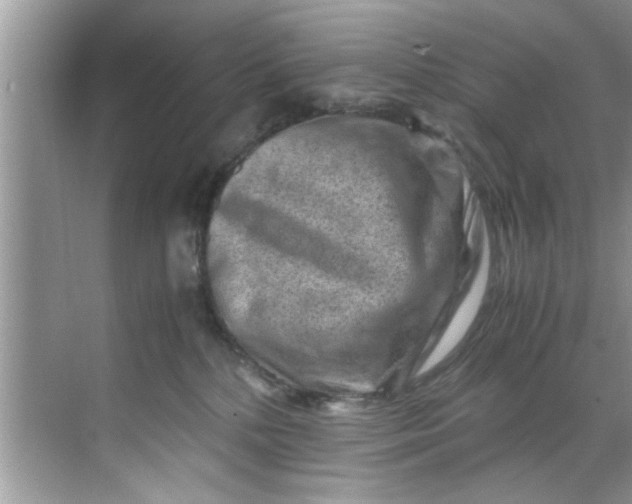 X0000069410232200605262217