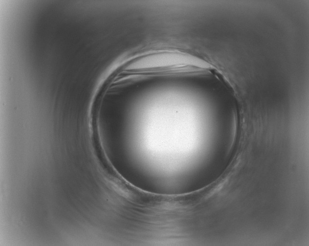 X0000069410246200605262216