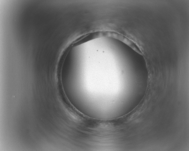 X0000069410248200605262216