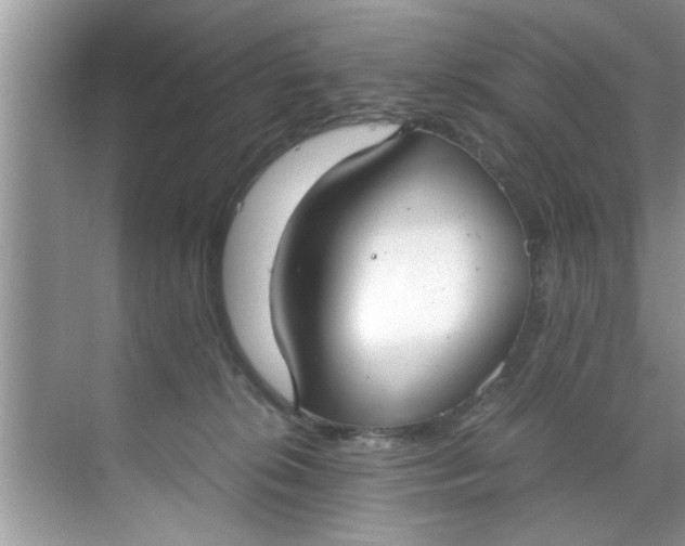 X0000069410276200605262217