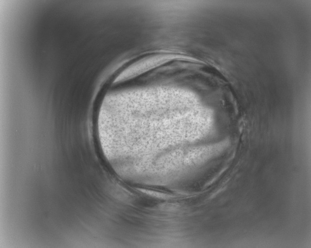 X0000069410294200605262216