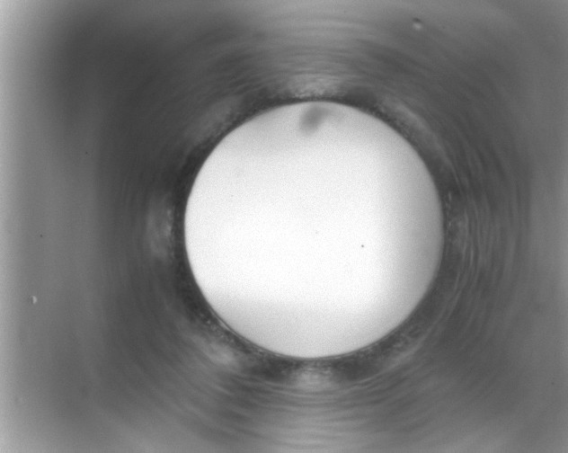 X0000069410308200605262216