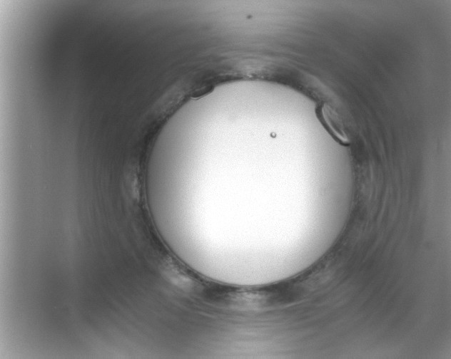 X0000069410313200605262216