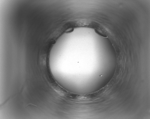 X0000069410315200605262216