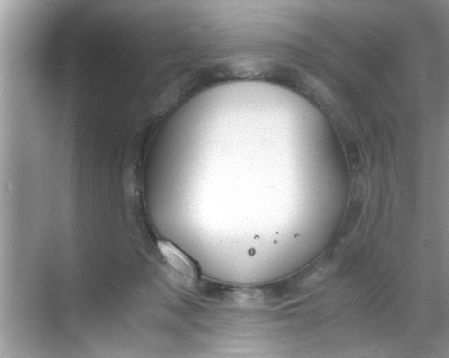 X0000069410317200605262216