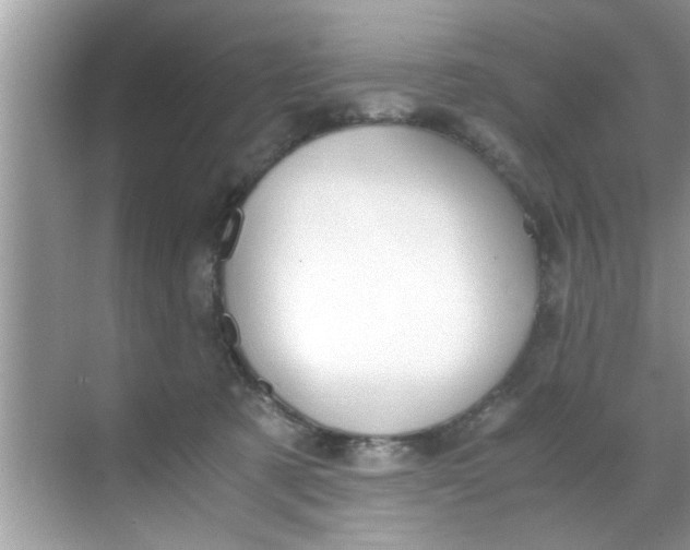 X0000069410321200605262216