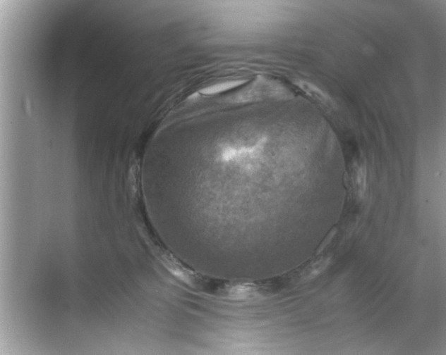 X0000069410325200605262216