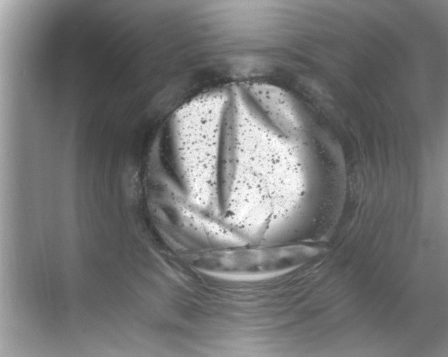 X0000069410327200605262216