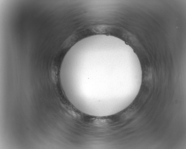 X0000069410332200605262215