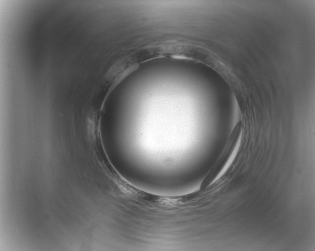 X0000069410333200605262215