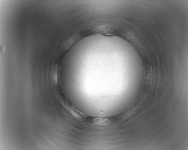 X0000069410334200605262215