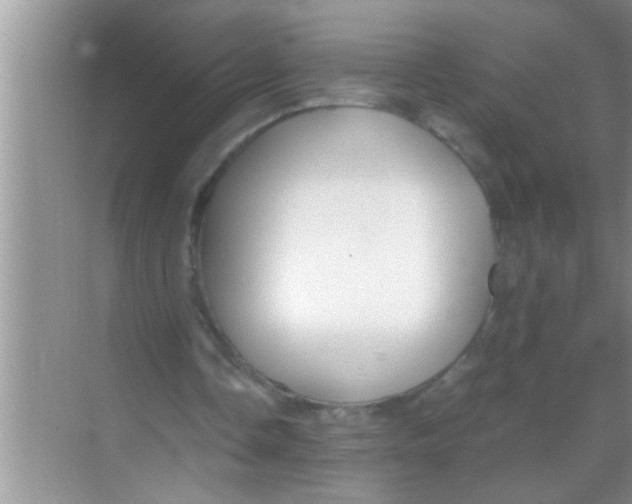 X0000069410338200605262215