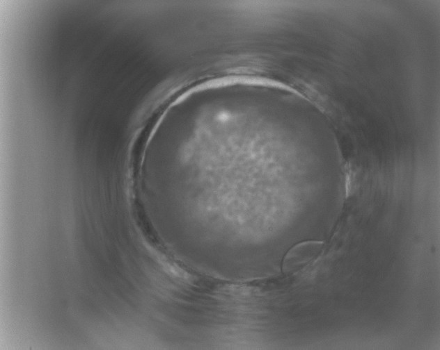 X0000069410339200605262215