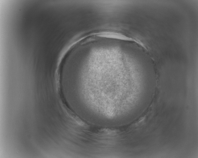 X0000069410343200605262215