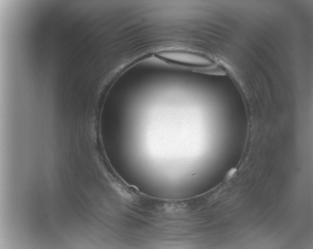 X0000069410345200605262215