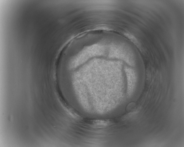 X0000069410347200605262215