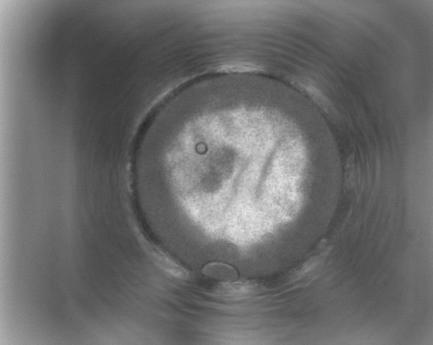 X0000069410351200605262215