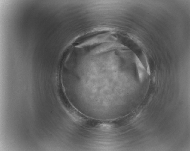 X0000069410352200605262215