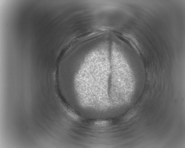 X0000069410357200605262215