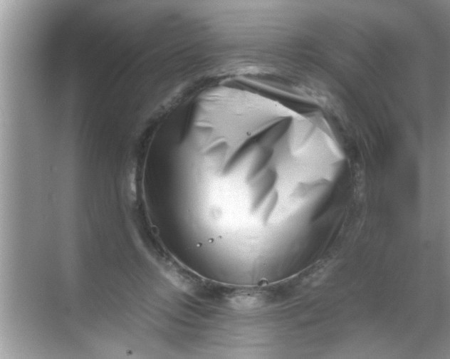 X0000069410358200605262215