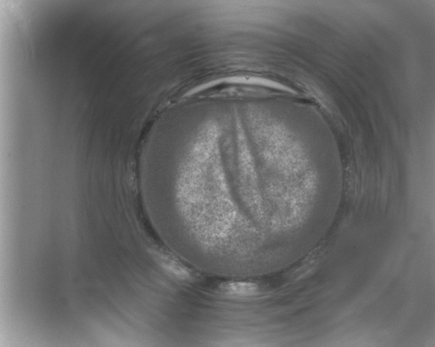 X0000069410361200605262215