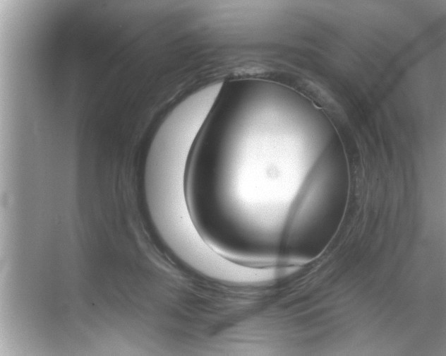 X0000069410362200605262215