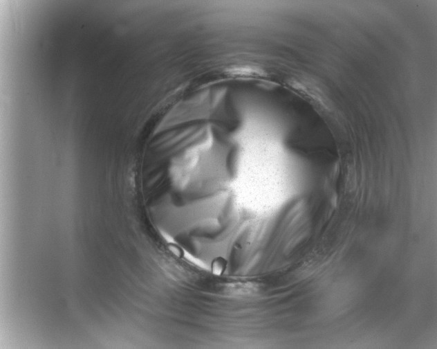 X0000069410363200605262215