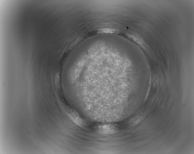 X0000069410365200605262215