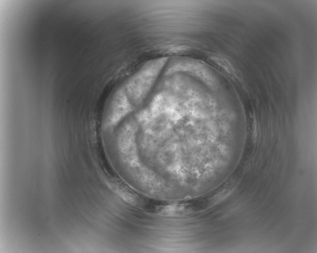 X0000069410366200605262215