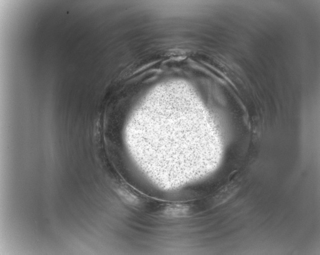 X0000069410369200605262215