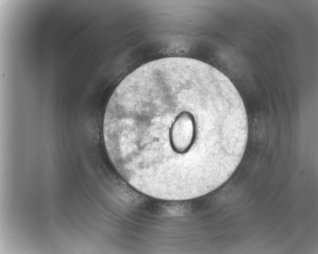 X0000069410370200605262215