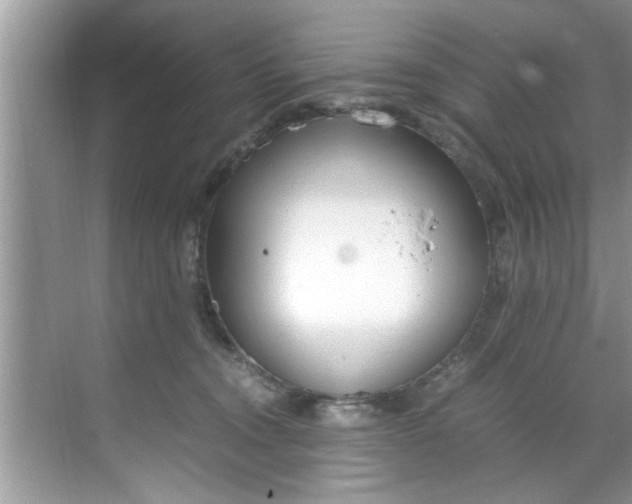 X0000069410372200605262215