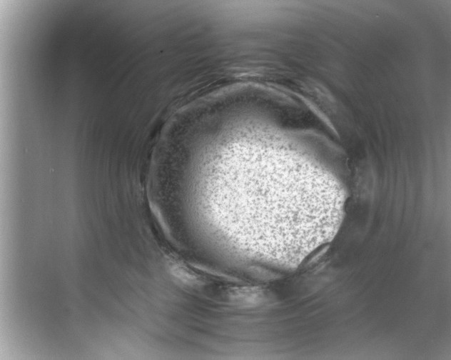 X0000069410377200605262215