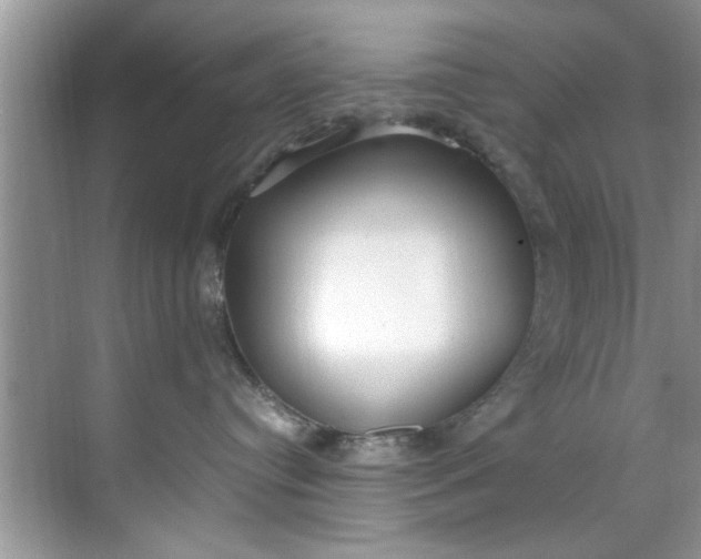 X0000069410384200605262215