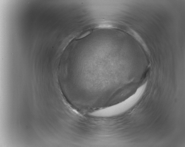 X0000069410385200605262215