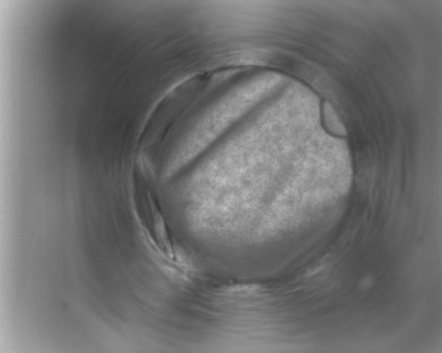 X0000069410386200605262215