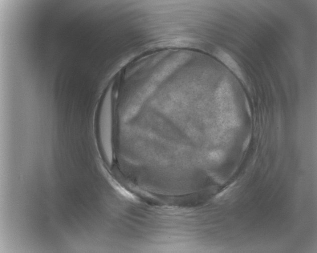 X0000069410389200605262214