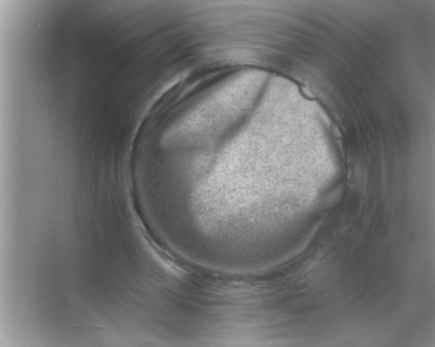 X0000069410390200605262214