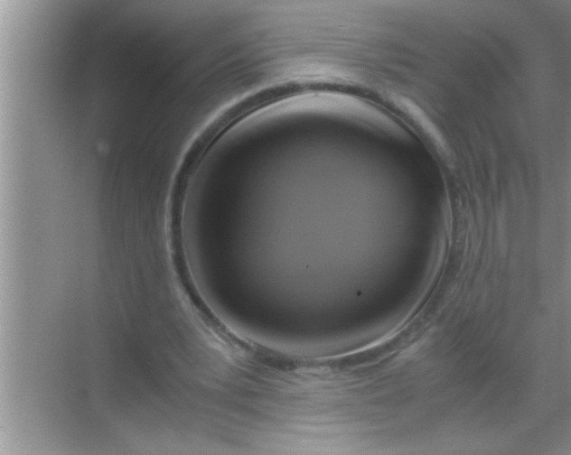 X0000069410391200605262214