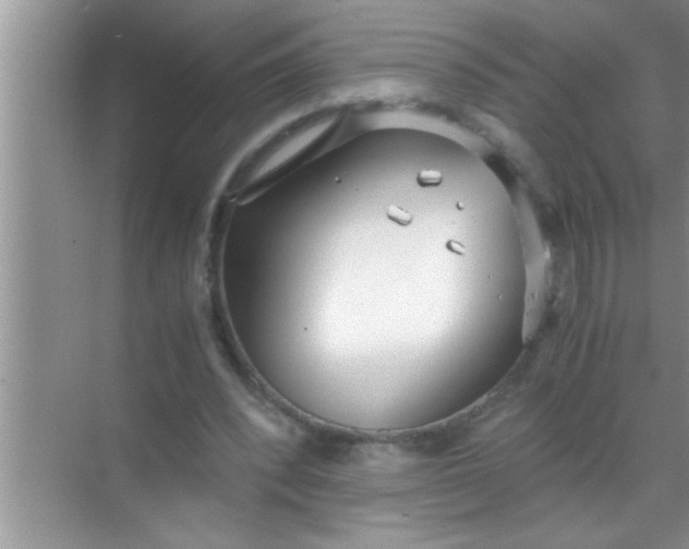 X0000069410392200605262214