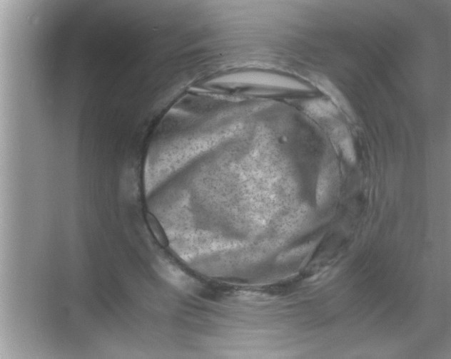 X0000069410393200605262214