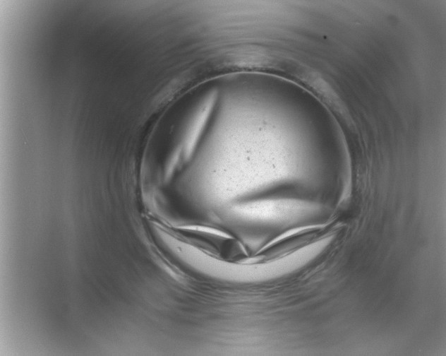 X0000069410397200605262214