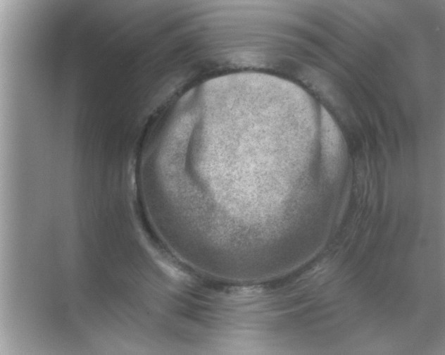 X0000069410398200605262214