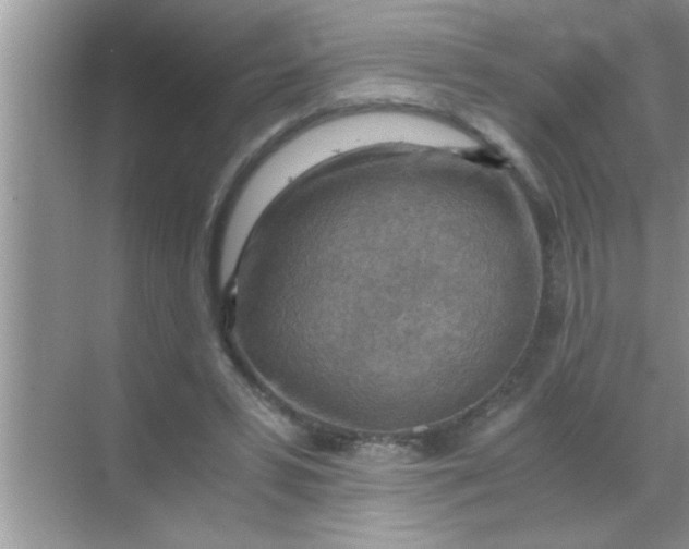 X0000069410399200605262214