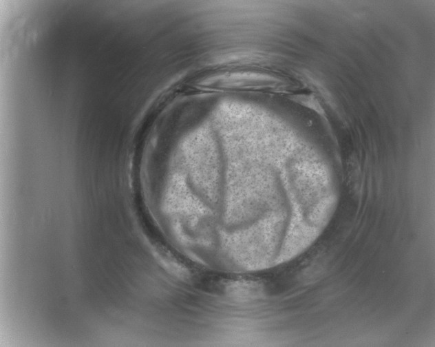 X0000069410400200605262214