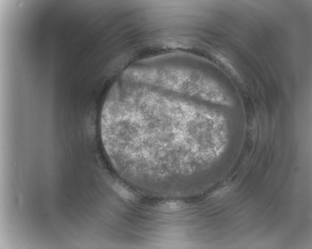 X0000069410402200605262214