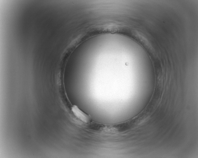 X0000069410403200605262214