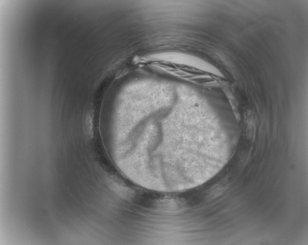 X0000069410404200605262214