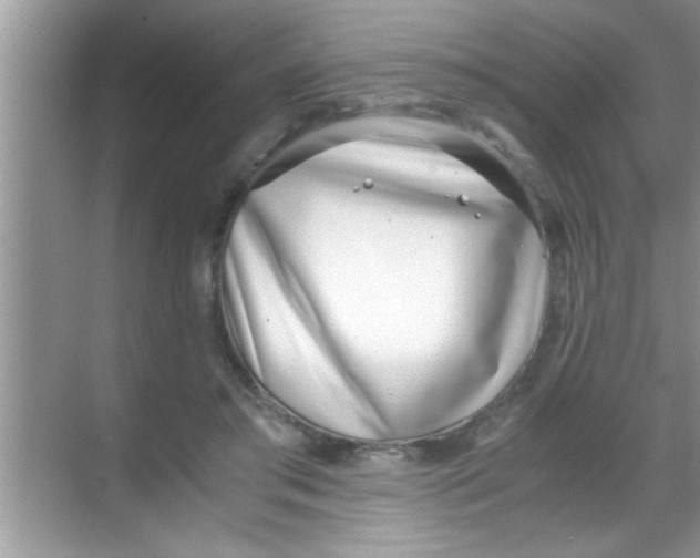 X0000069410405200605262214