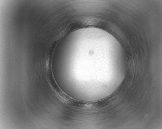 X0000069410406200605262214